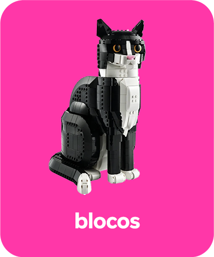 brinquedos-blocos-2024